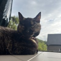 Sophie