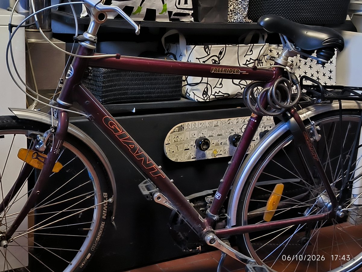 Illustration de Vélo Homme de marque Giant