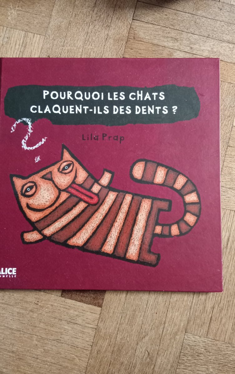 Illustration de Livre enfant pourquoi les chats, les chiens