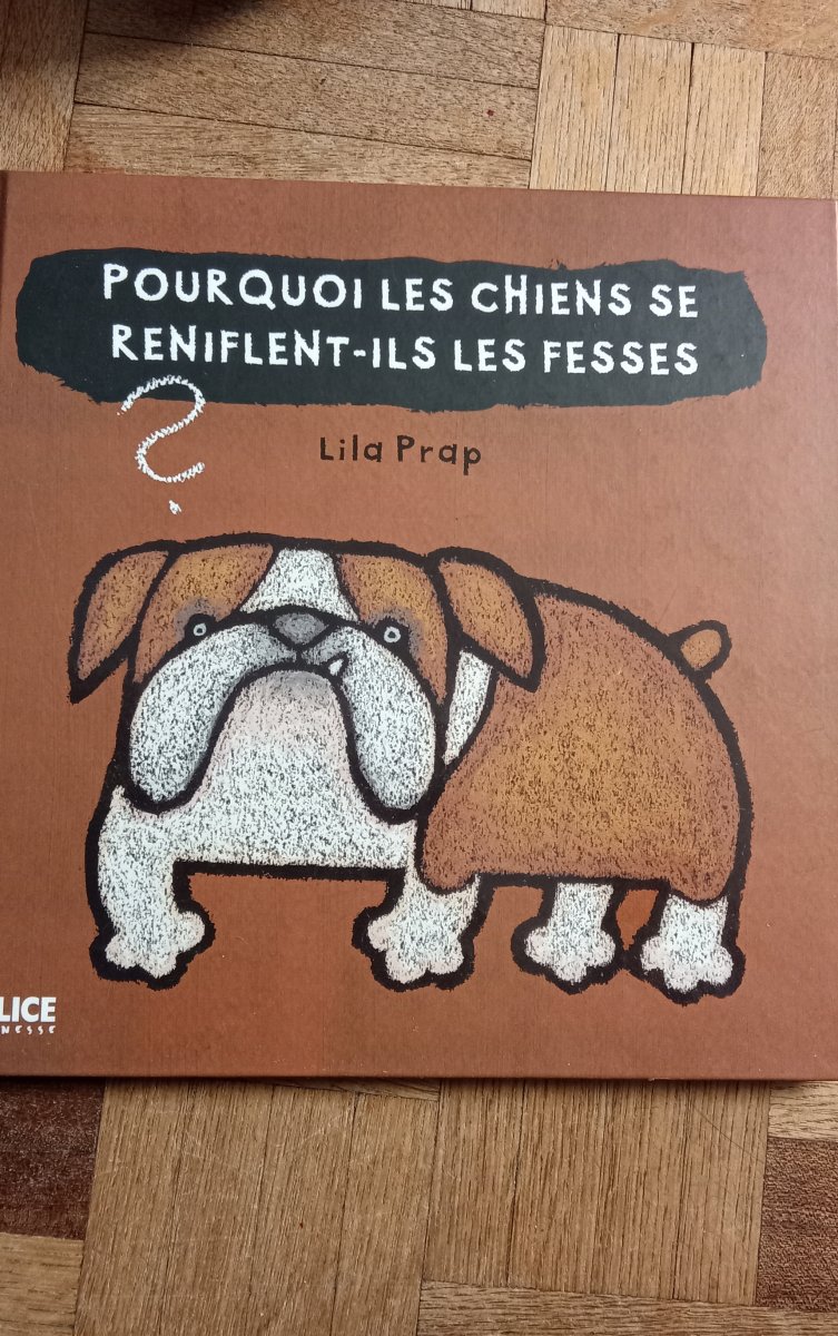 Illustration de Livre enfant pourquoi les chats, les chiens