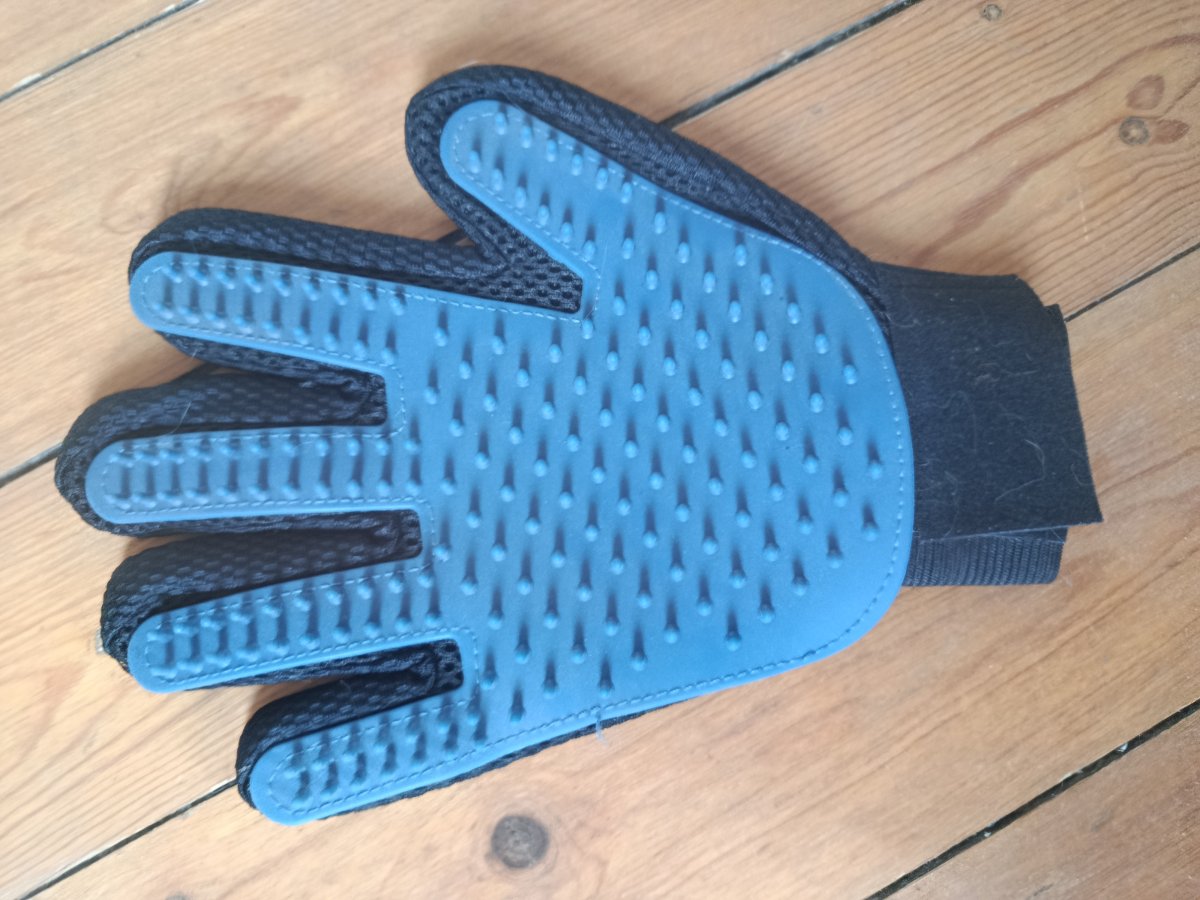 Image Gant pour animaux