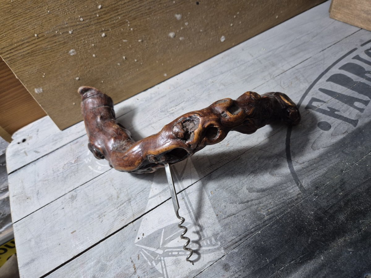 Image Tire bouchon pied de vigne