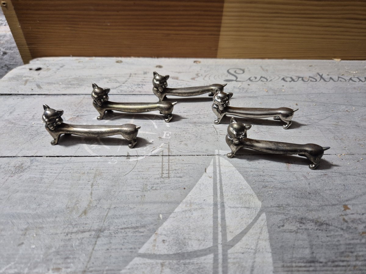 Image Portes couverts chat