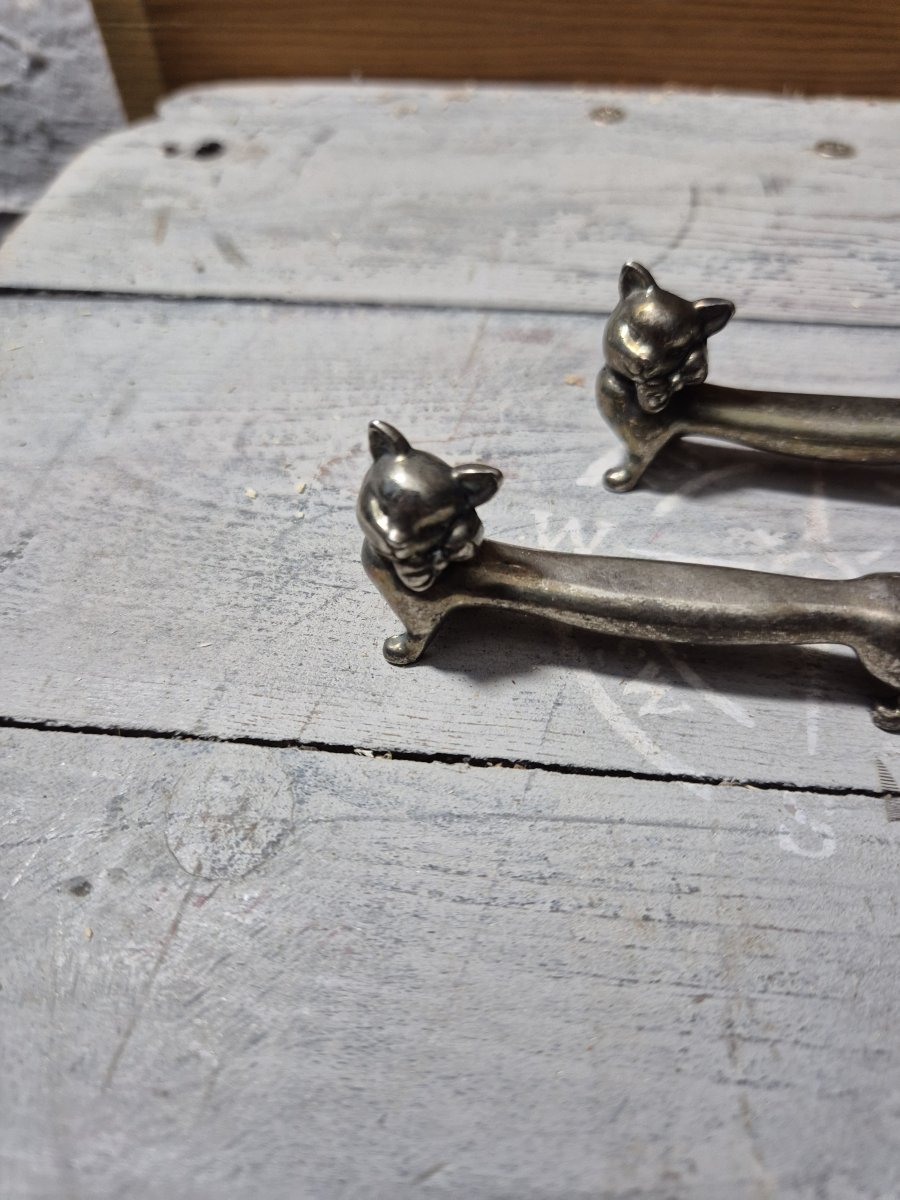 Illustration de Portes couverts chat