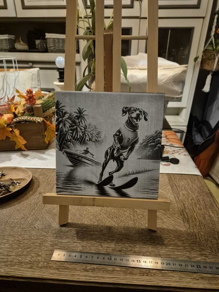 Illustration de Carrelage 20cm x 20cm chien ski nautique.