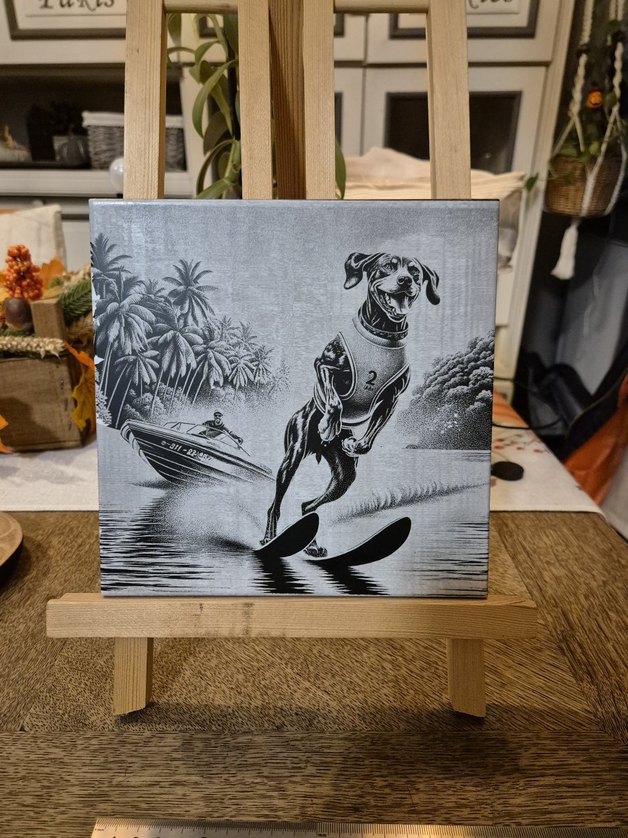 Image Carrelage 20cm x 20cm chien ski nautique.