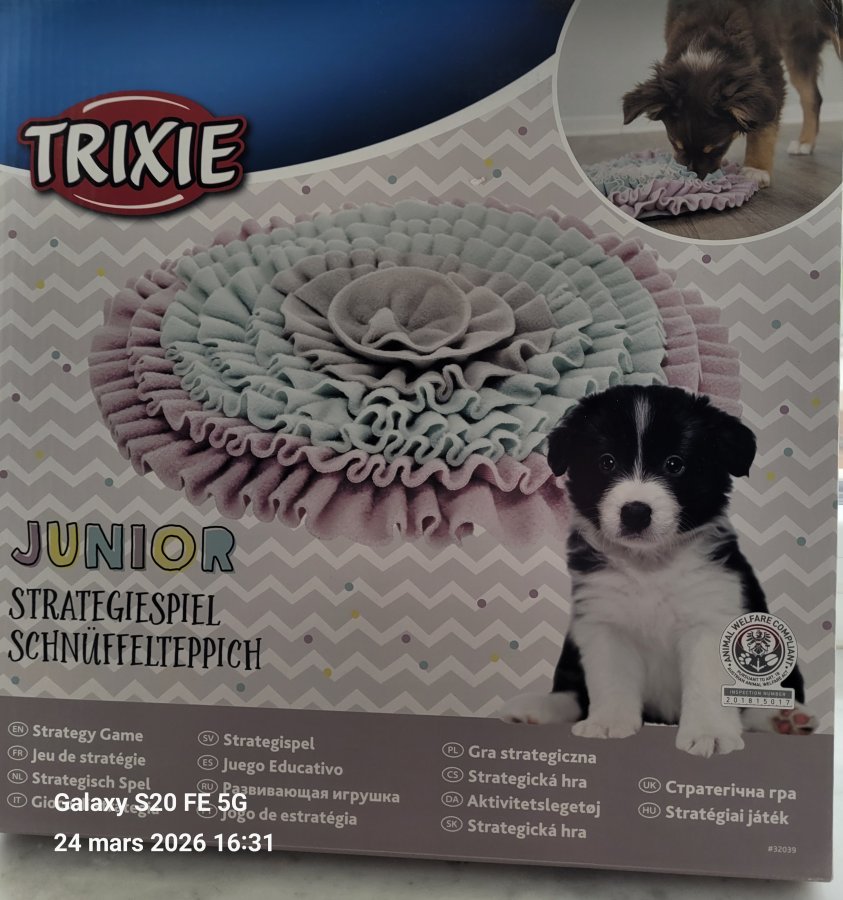 Image Assiette à friandise pour chiot