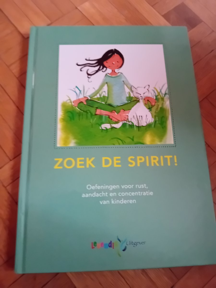Illustration de Zoek de spirit