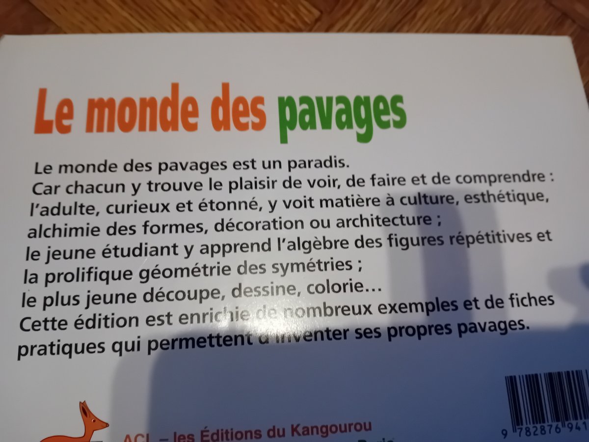 Illustration de Livre Le monde des pavages
