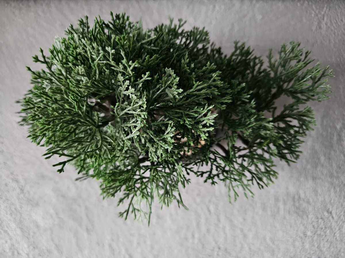 Illustration de Bonsaï artificiel