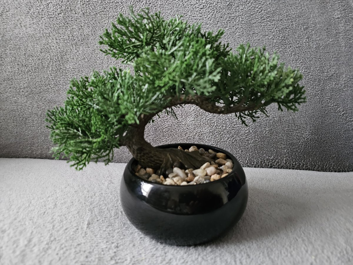 Image Bonsaï artificiel