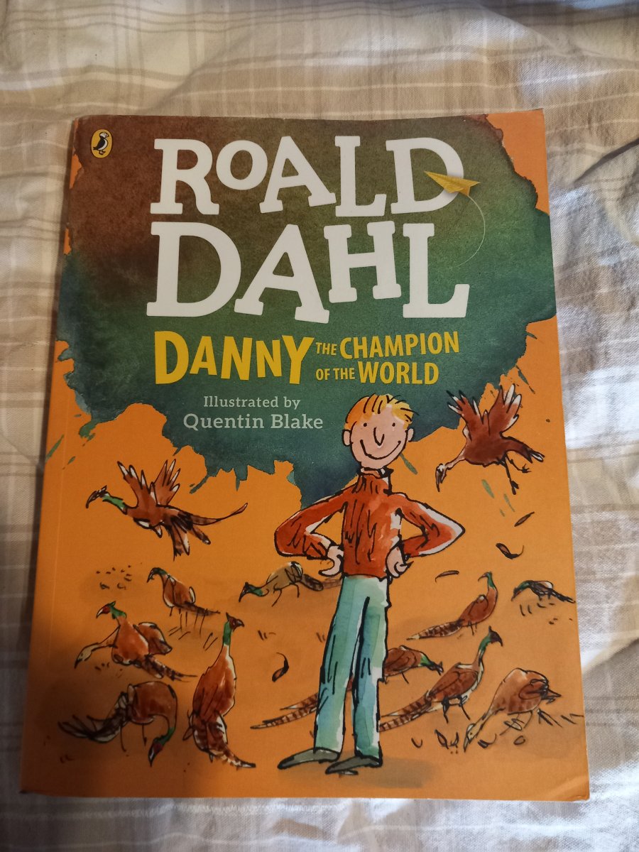 Image Roal Dahl book