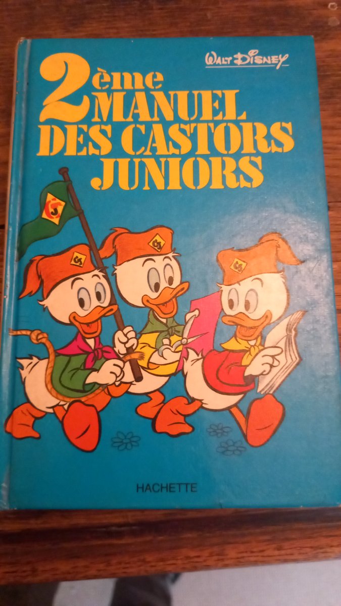 Image Castor juniors