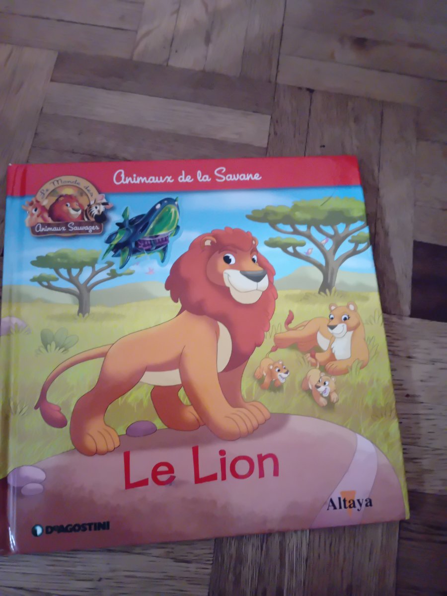 Illustration de Livre le lion