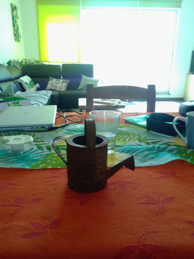 Image Petit arrosoir à pendre