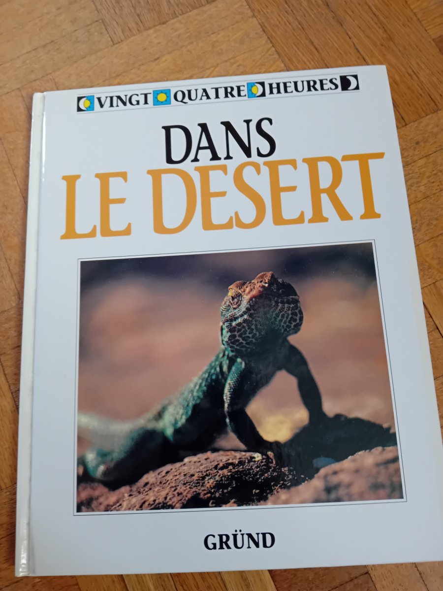 Illustration de Livre dans le desert