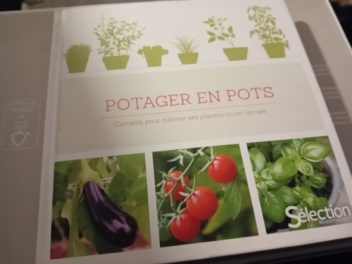 Image Livre potager en pots