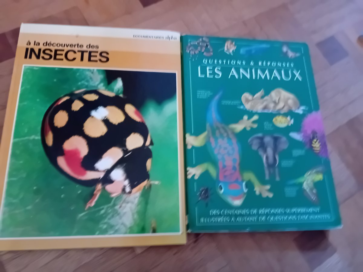 Illustration de Livre divers animaux 