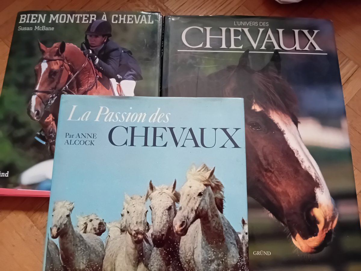 Illustration de Livre les chevaux 
