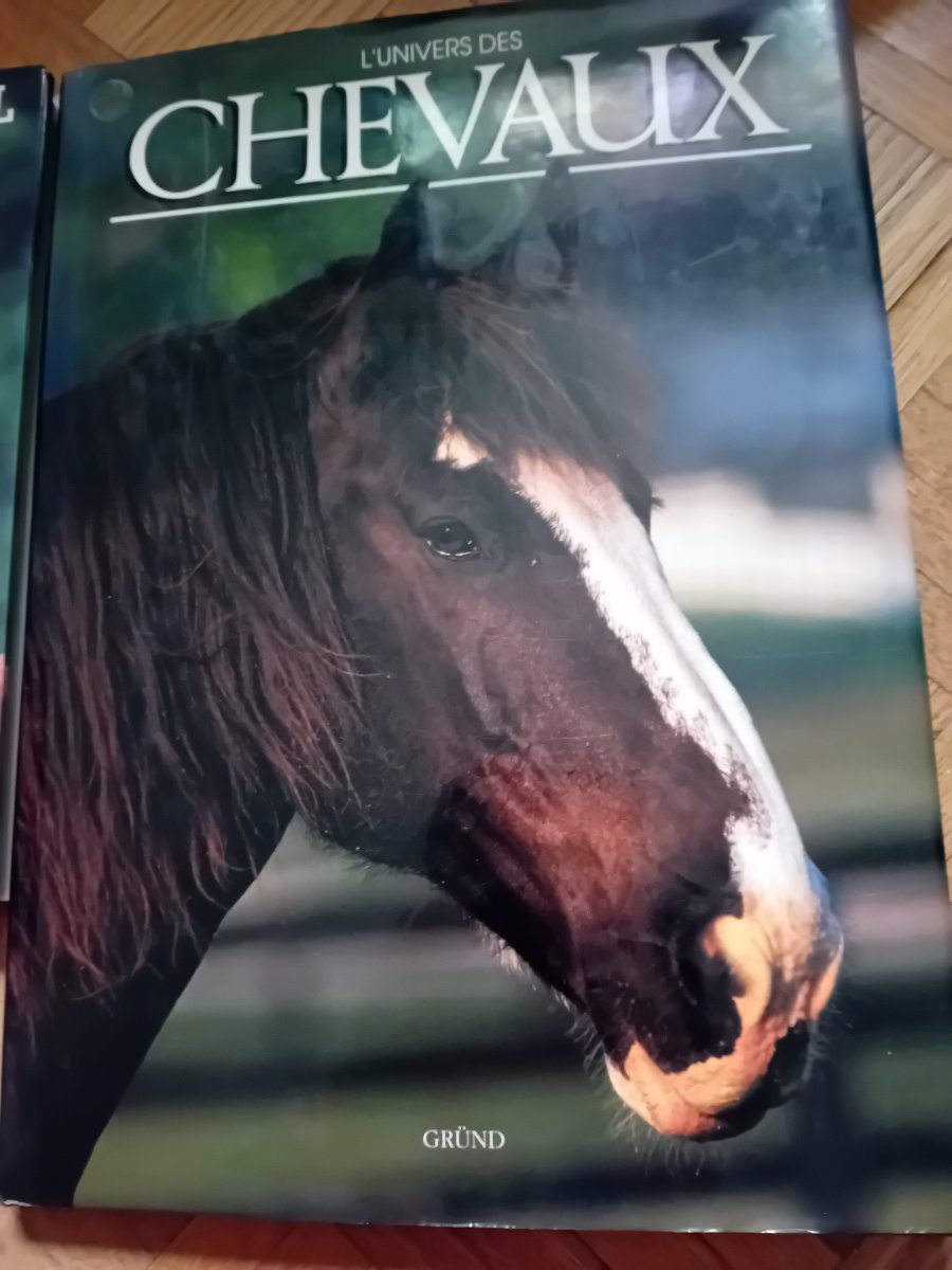 Illustration de Livre les chevaux 