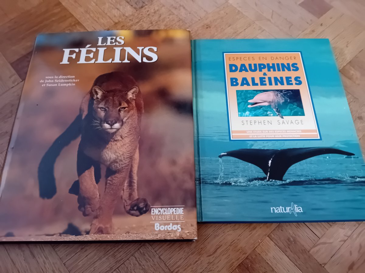 Illustration de Livre les félins  / dauphins ,baleines 