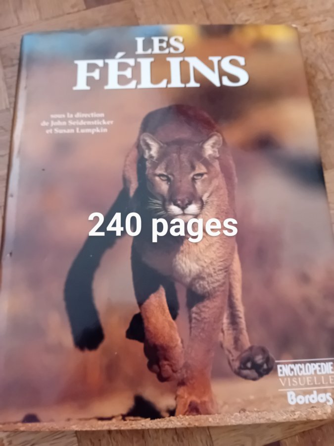 Illustration de Livre les félins  / dauphins ,baleines 