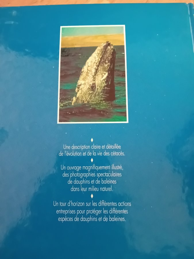 Illustration de Livre les félins  / dauphins ,baleines 