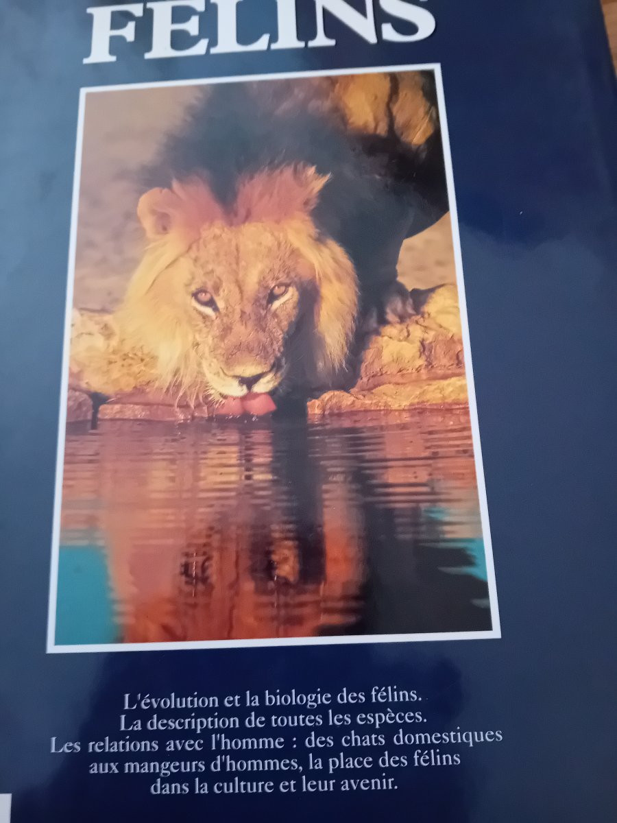 Illustration de Livre les félins  / dauphins ,baleines 