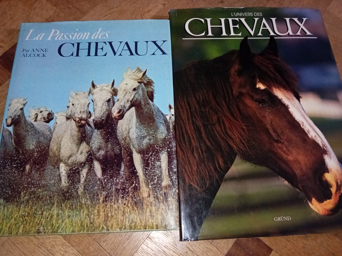 Image Livre chevaux