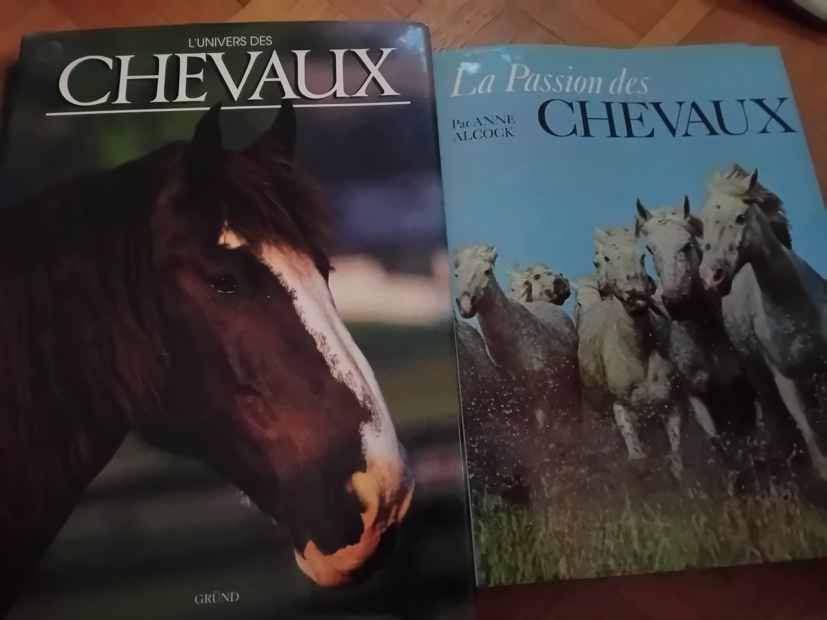 Image Livre chevaux