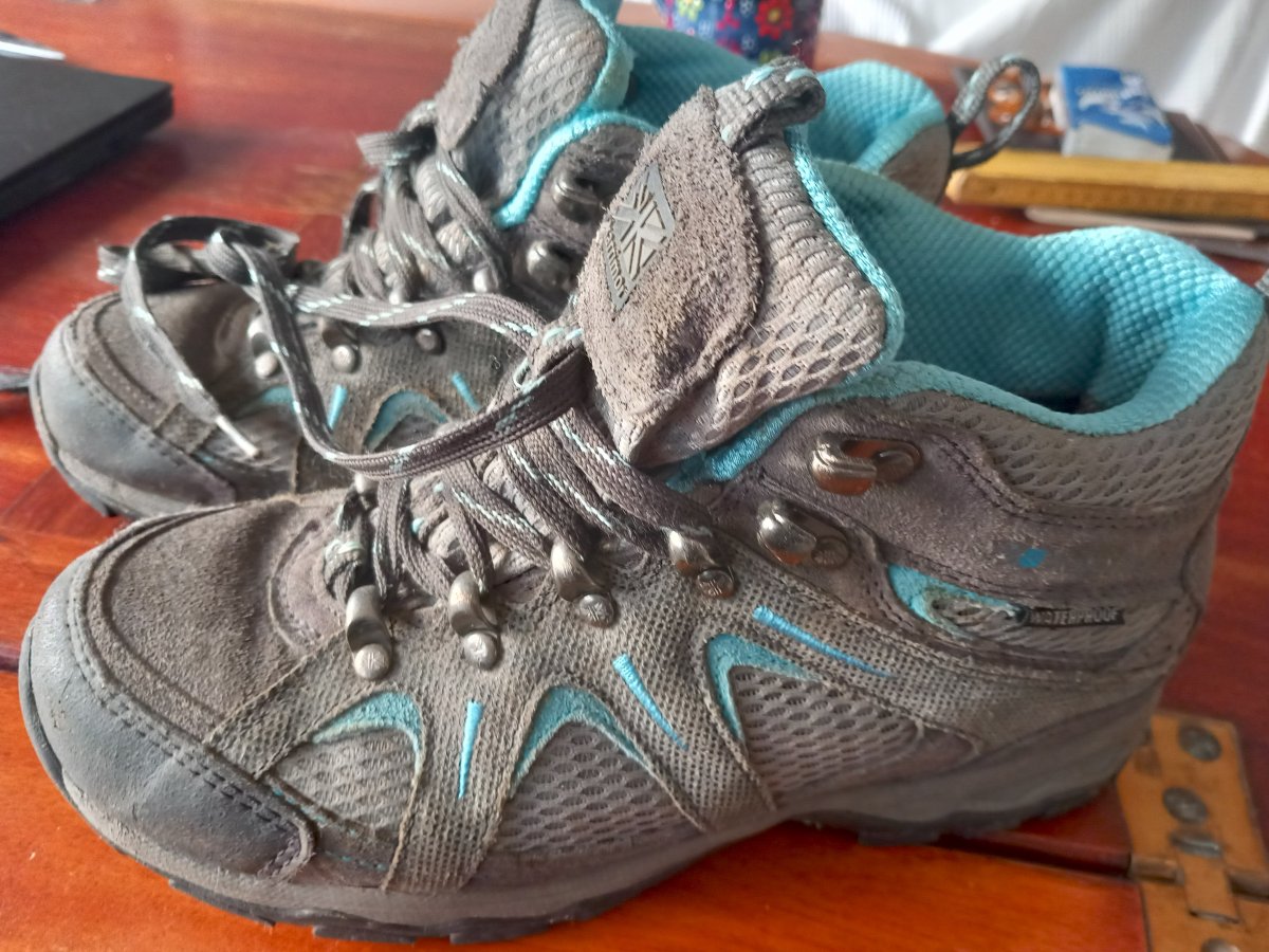 Image chaussures randonnee 37