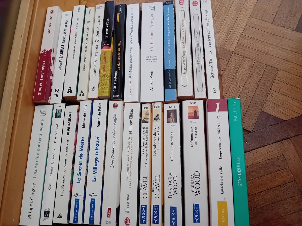 Image Lot livres divers 1