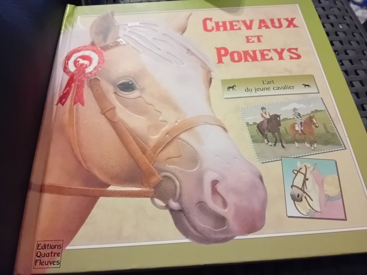 Illustration de Livre chevaux et poneys