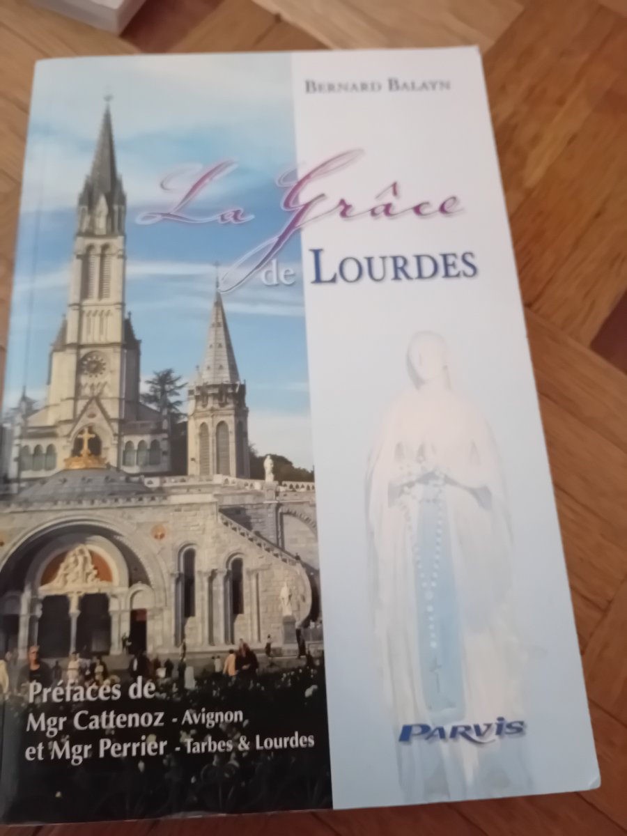 Illustration de Livre la grâce de lourdes