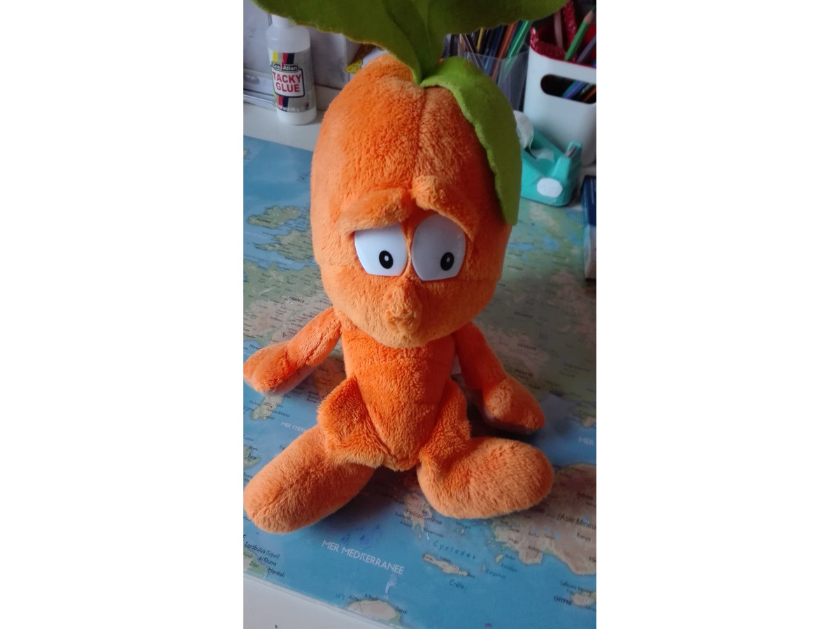 Image plush