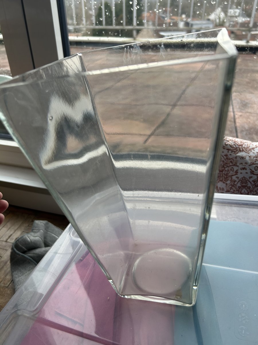 Image Grand vase à fleurs