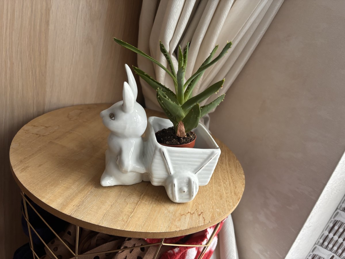 Illustration de Jardinière lapin