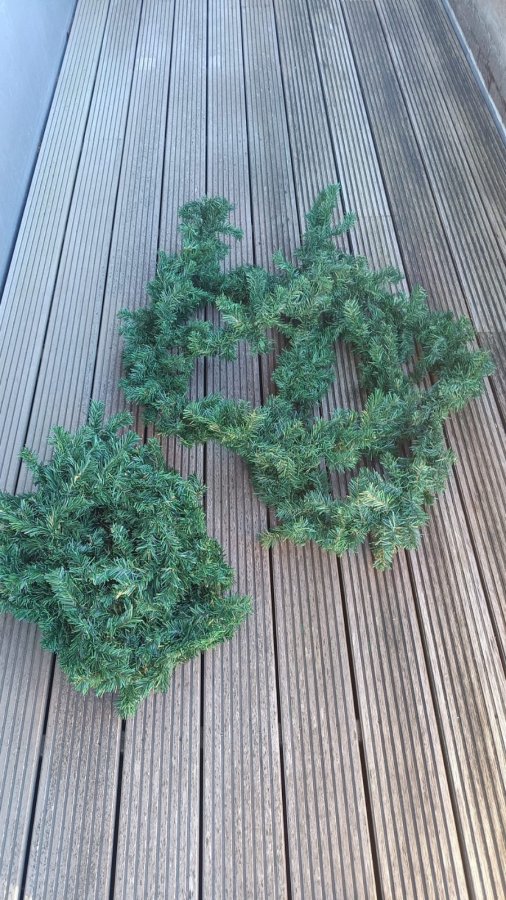 Illustration de Lot de 2 guirlandes 