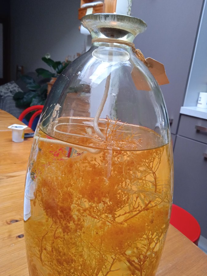 Illustration de grande lampe à huile / Décoration