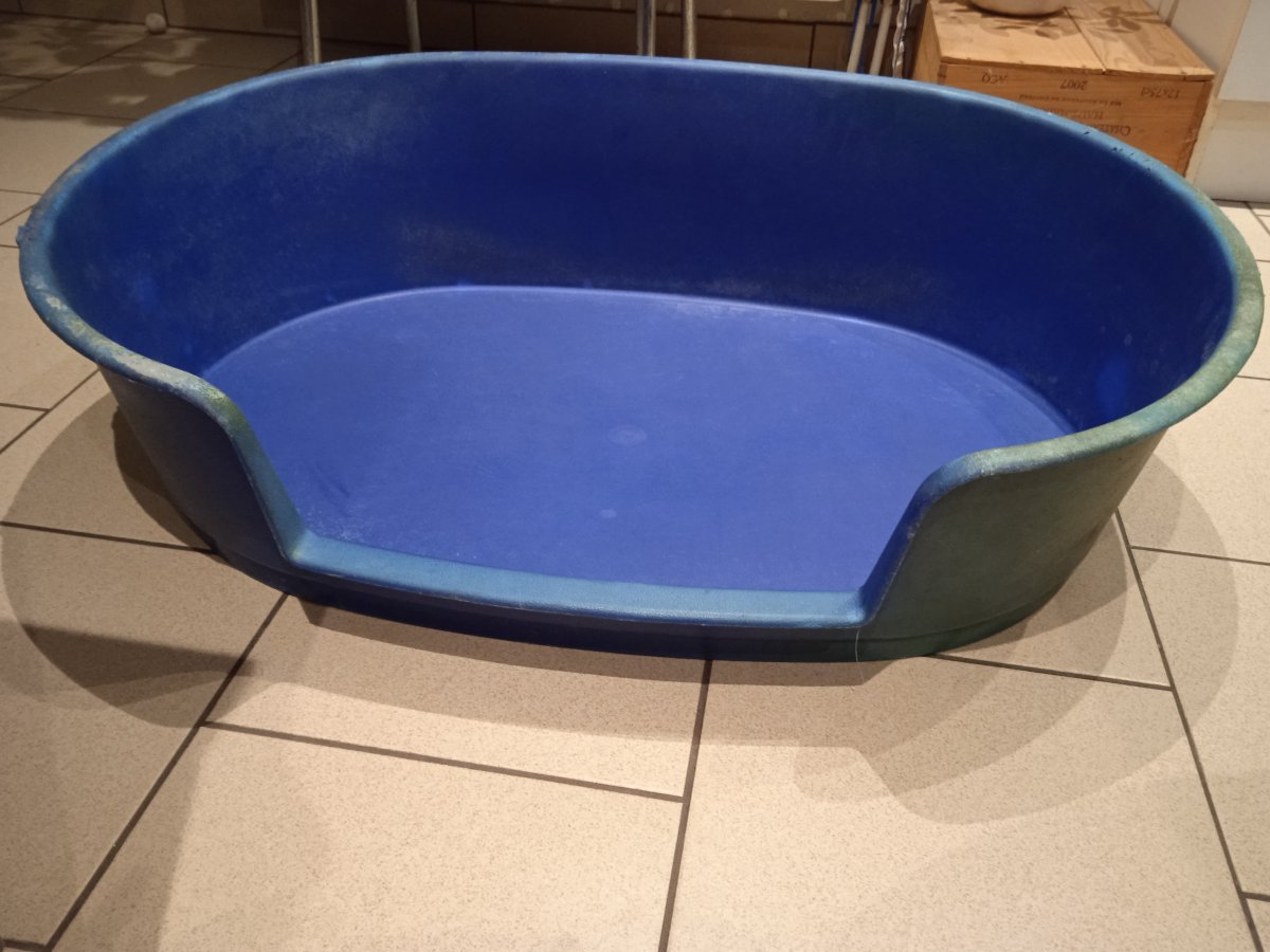 Illustration de panier pour chien - Matériel animaux