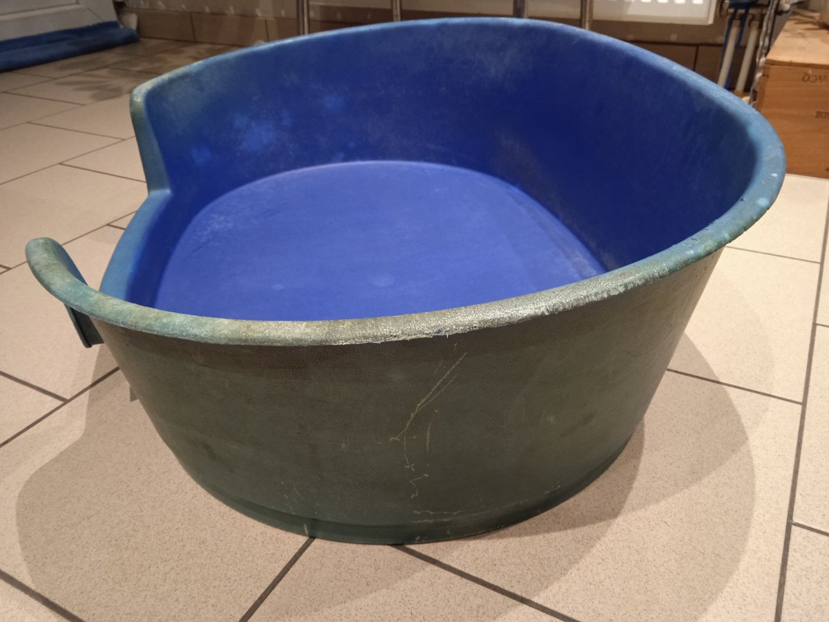 Illustration de panier pour chien - Matériel animaux