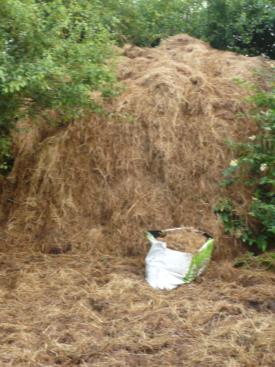 Illustration de fumier de cheval 