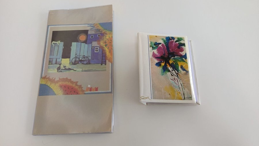 Illustration de Lot de 2 albums photos 