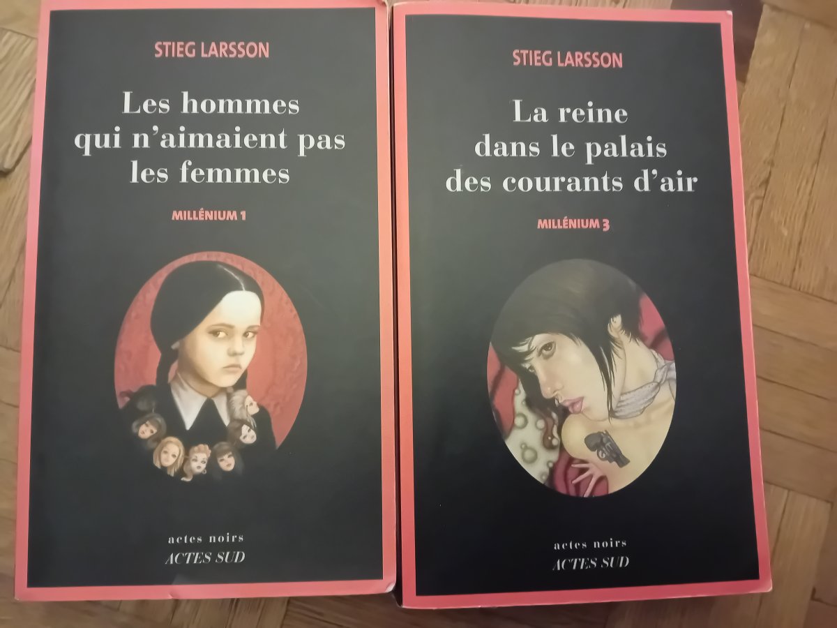 Image Livre stieg Larsson