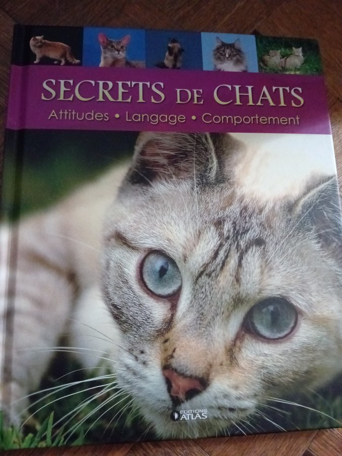 Illustration de Livre secrets de chats