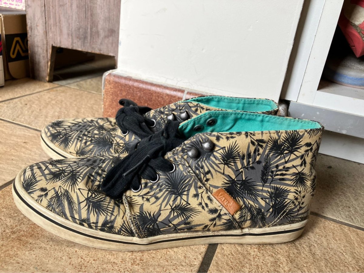 Illustration de Vans palmier