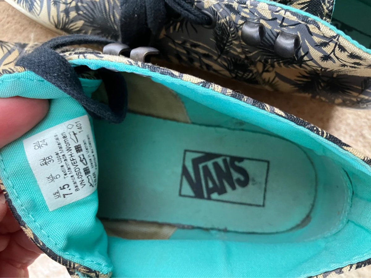 Illustration de Vans palmier