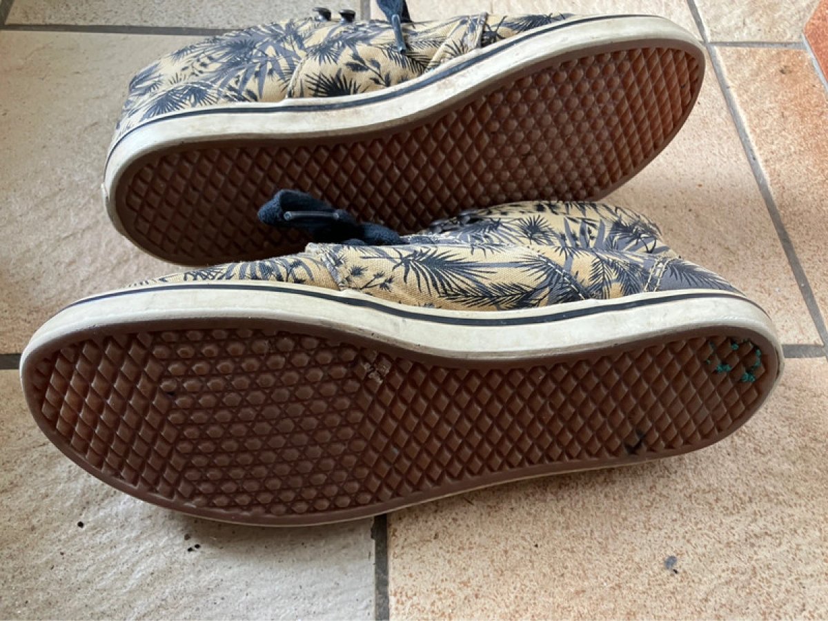 Illustration de Vans palmier