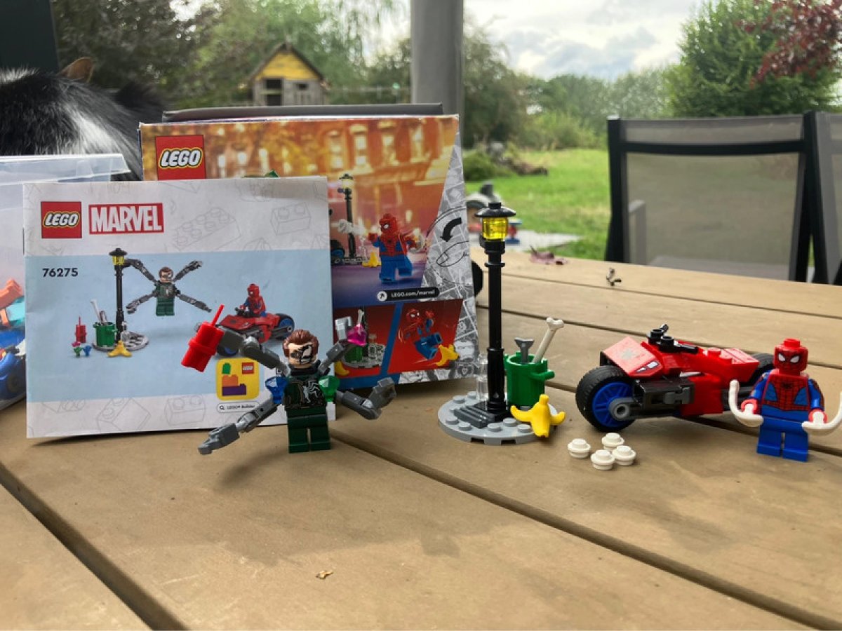 Illustration de Lego 76275