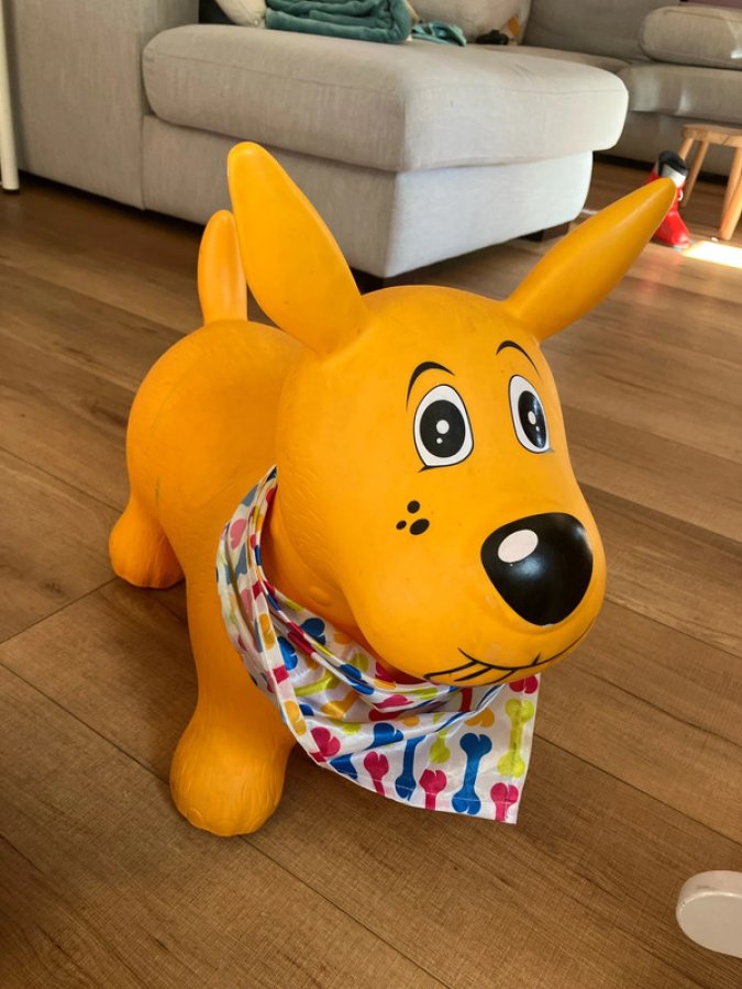 Illustration de Chien sauteur